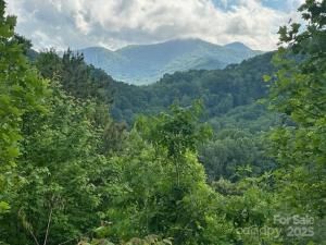 MLS #CAR4260318 image #0