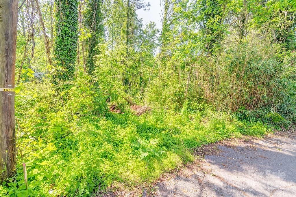 MLS #CAR4260396 image #0