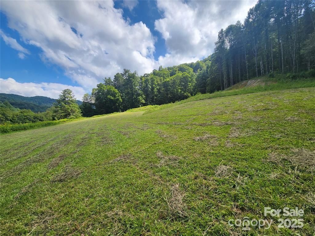 MLS #CAR4263555 image #0