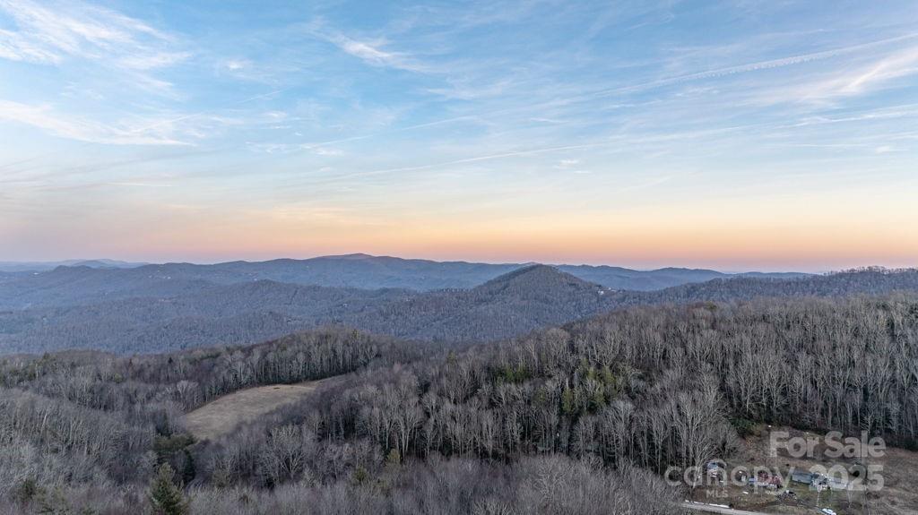 MLS #CAR4263937 image #0