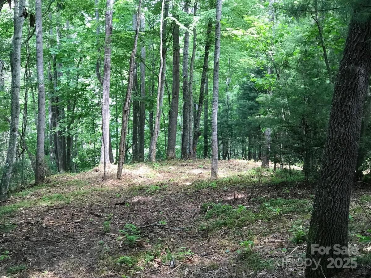 MLS #CAR4264270 image #0