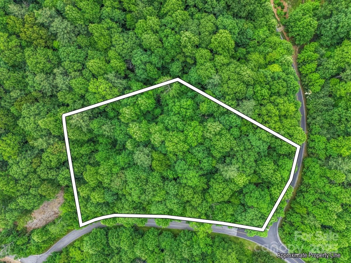 MLS #CAR4264684 image #0