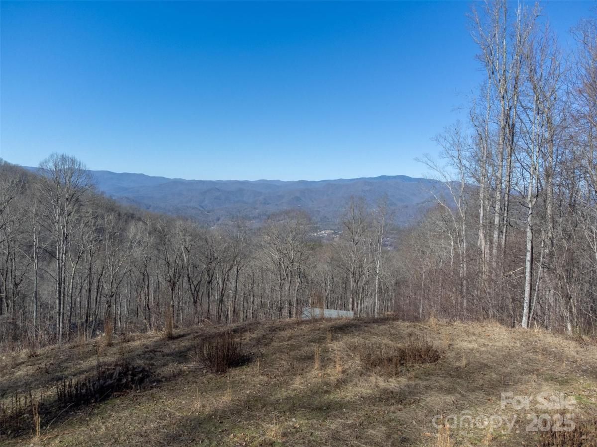 MLS #CAR4265502 image #0