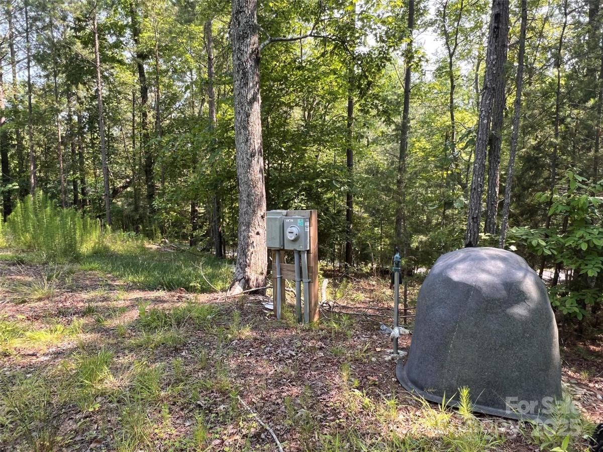 MLS #CAR4266460 image #0