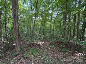 MLS #CAR4267027 image #0