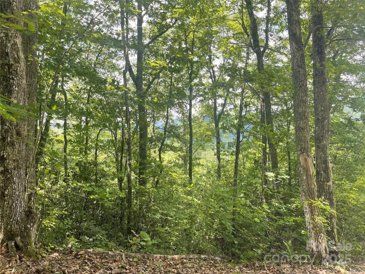 MLS #CAR4267209 image #0