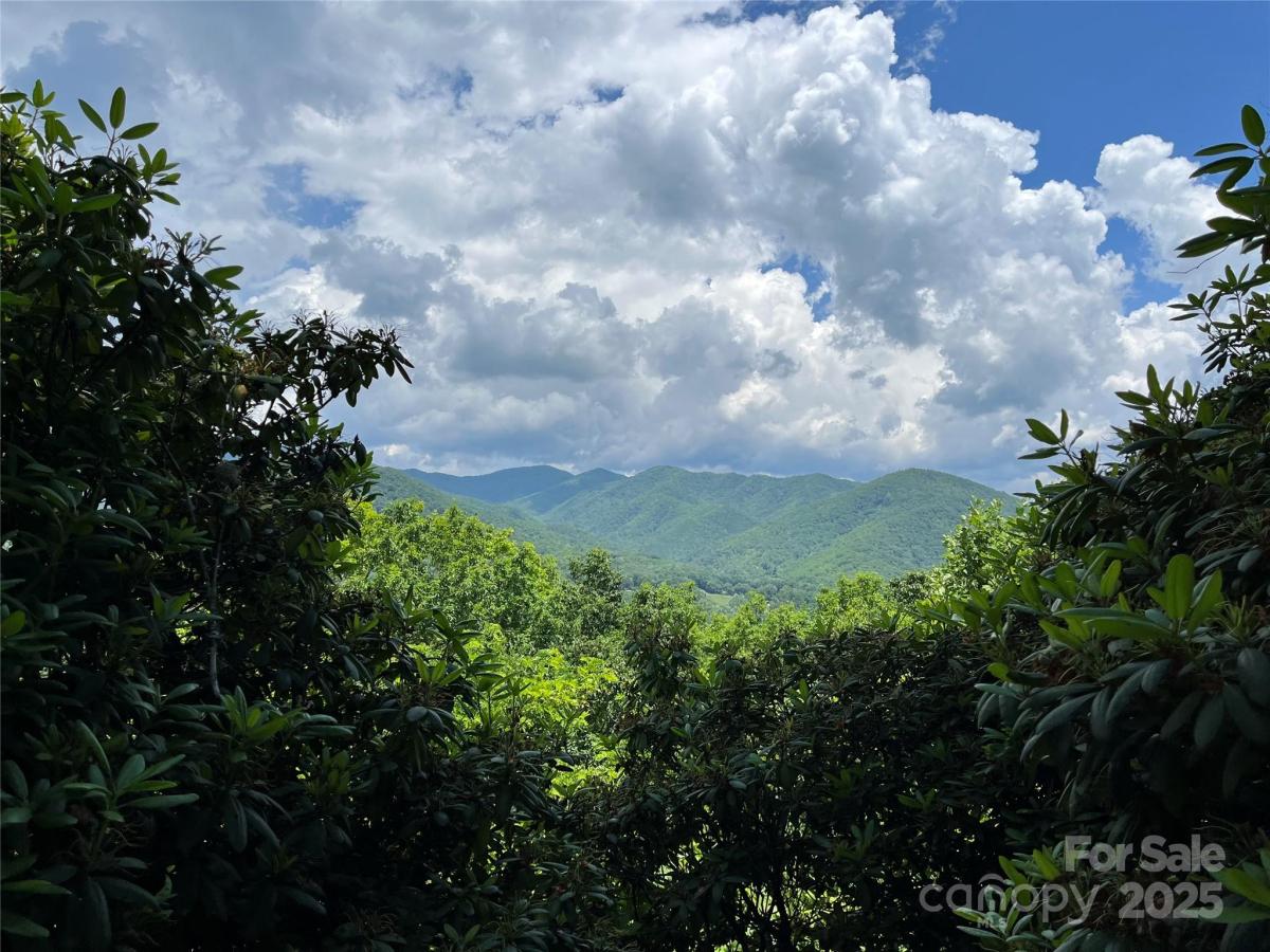 MLS #CAR4267211 image #0