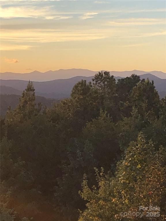 MLS #CAR4267441 image #0