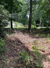 MLS #CAR4268033 image #0