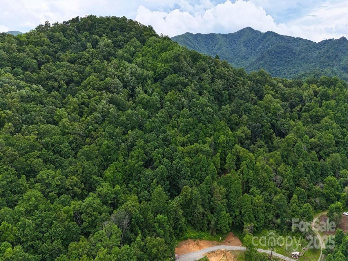 MLS #CAR4268386 image #0