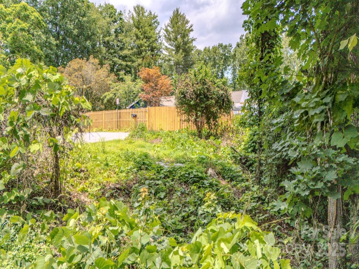 MLS #CAR4269286 image #0