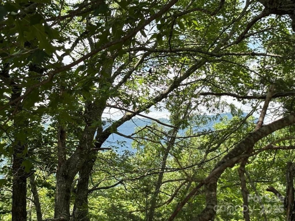 MLS #CAR4270185 image #0