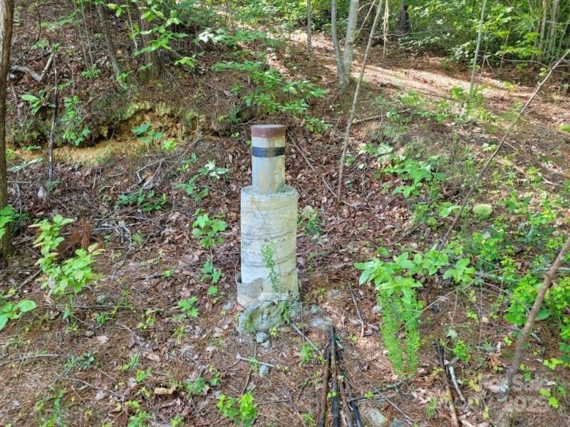 MLS #CAR4270822 image #0