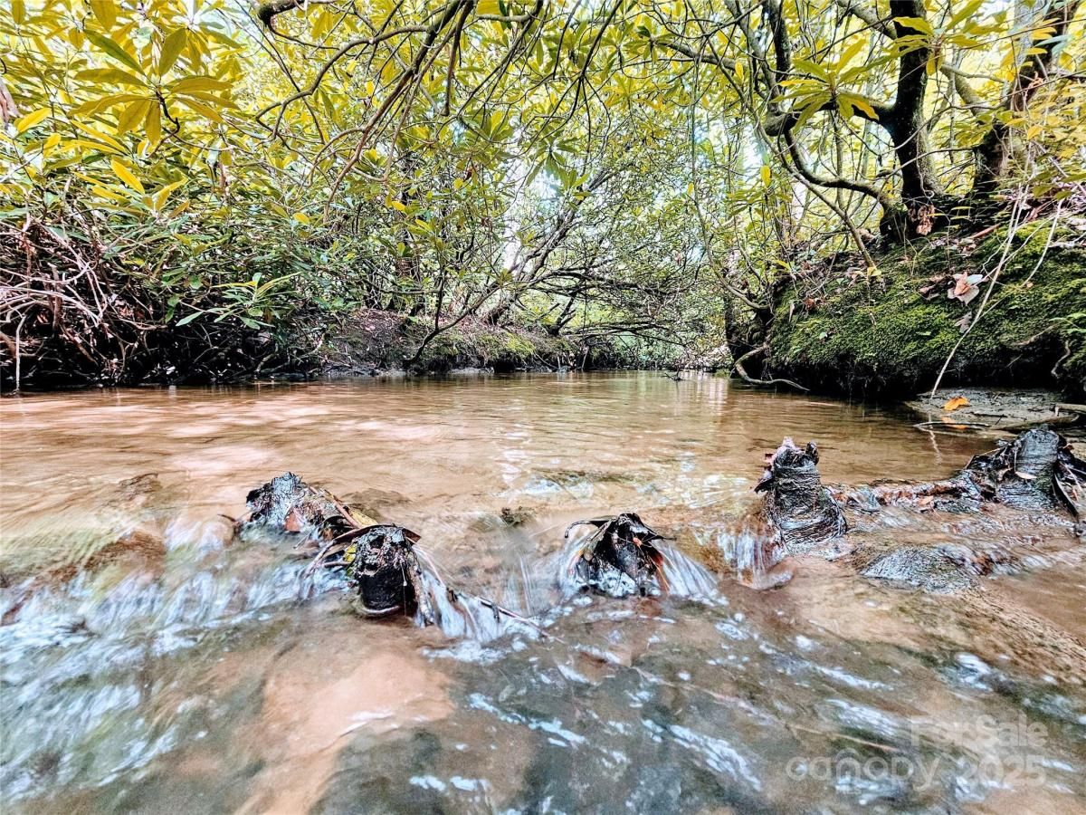 MLS #CAR4271060 image #0