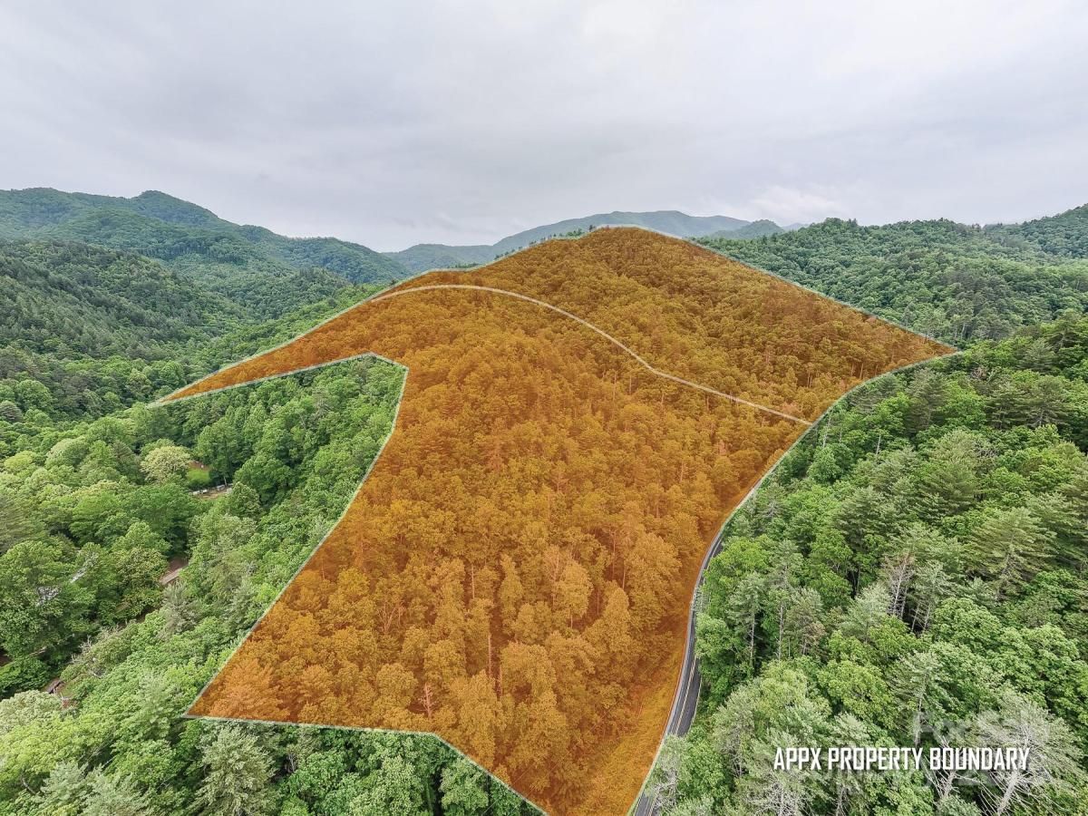 MLS #CAR4272049 image #0