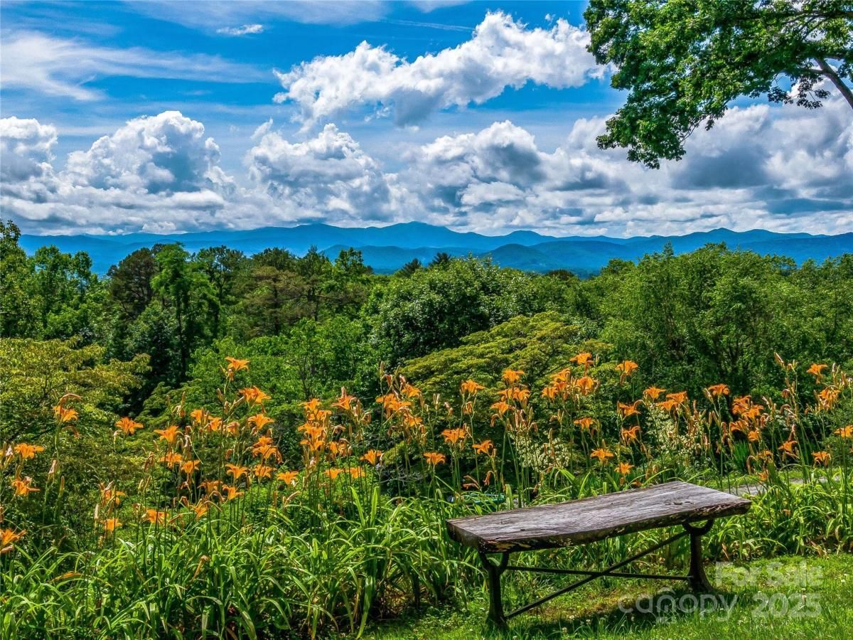 MLS #CAR4273179 image #0