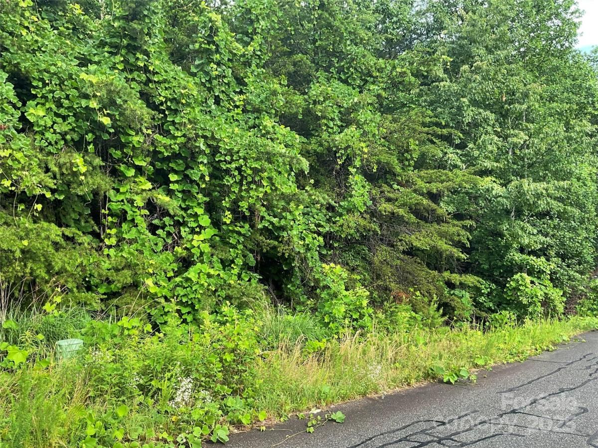 MLS #CAR4274417 image #0