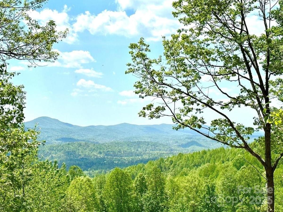 MLS #CAR4275770 image #0