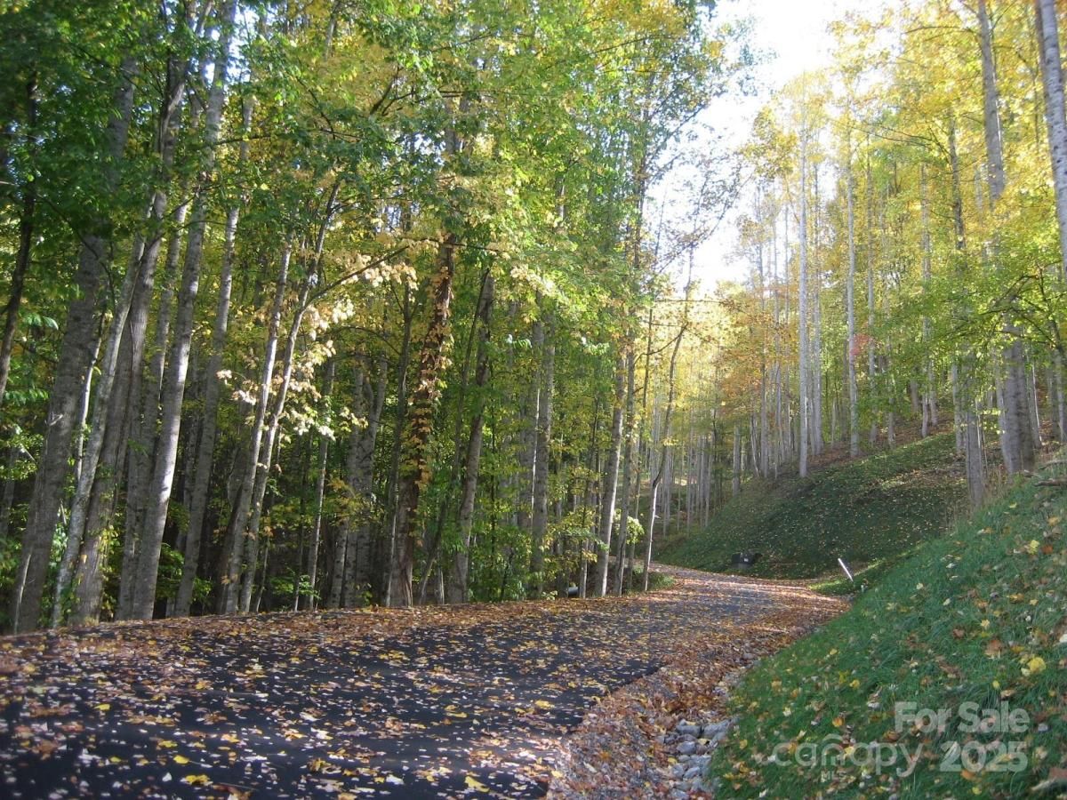 MLS #CAR4276204 image #0