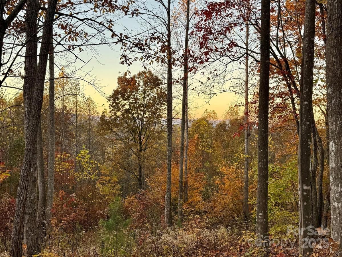 MLS #CAR4277266 image #0