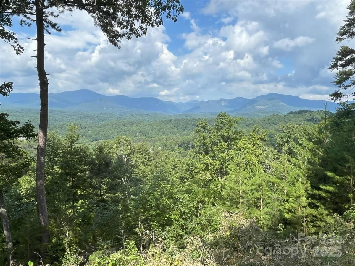 MLS #CAR4278806 image #0