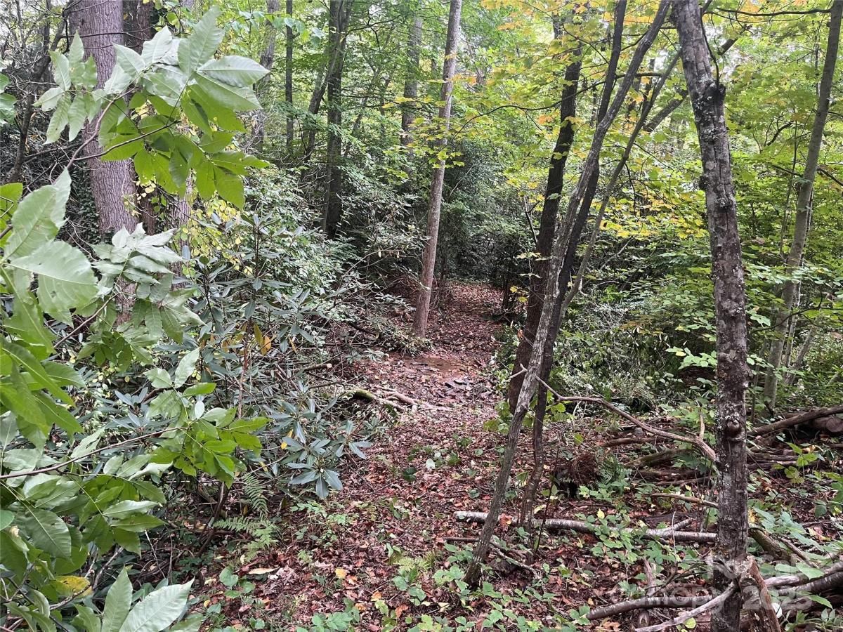 MLS #CAR4279368 image #0