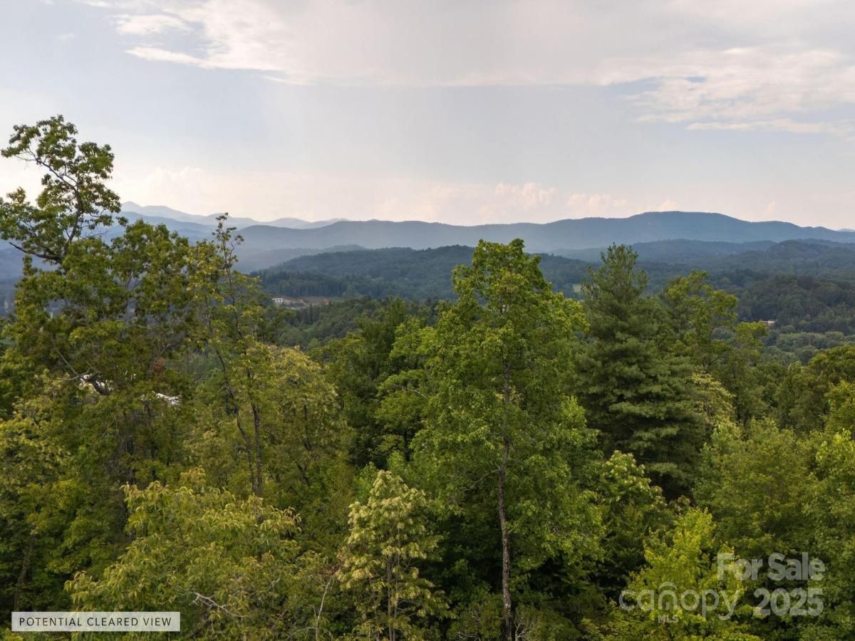 MLS #CAR4281367 image #0