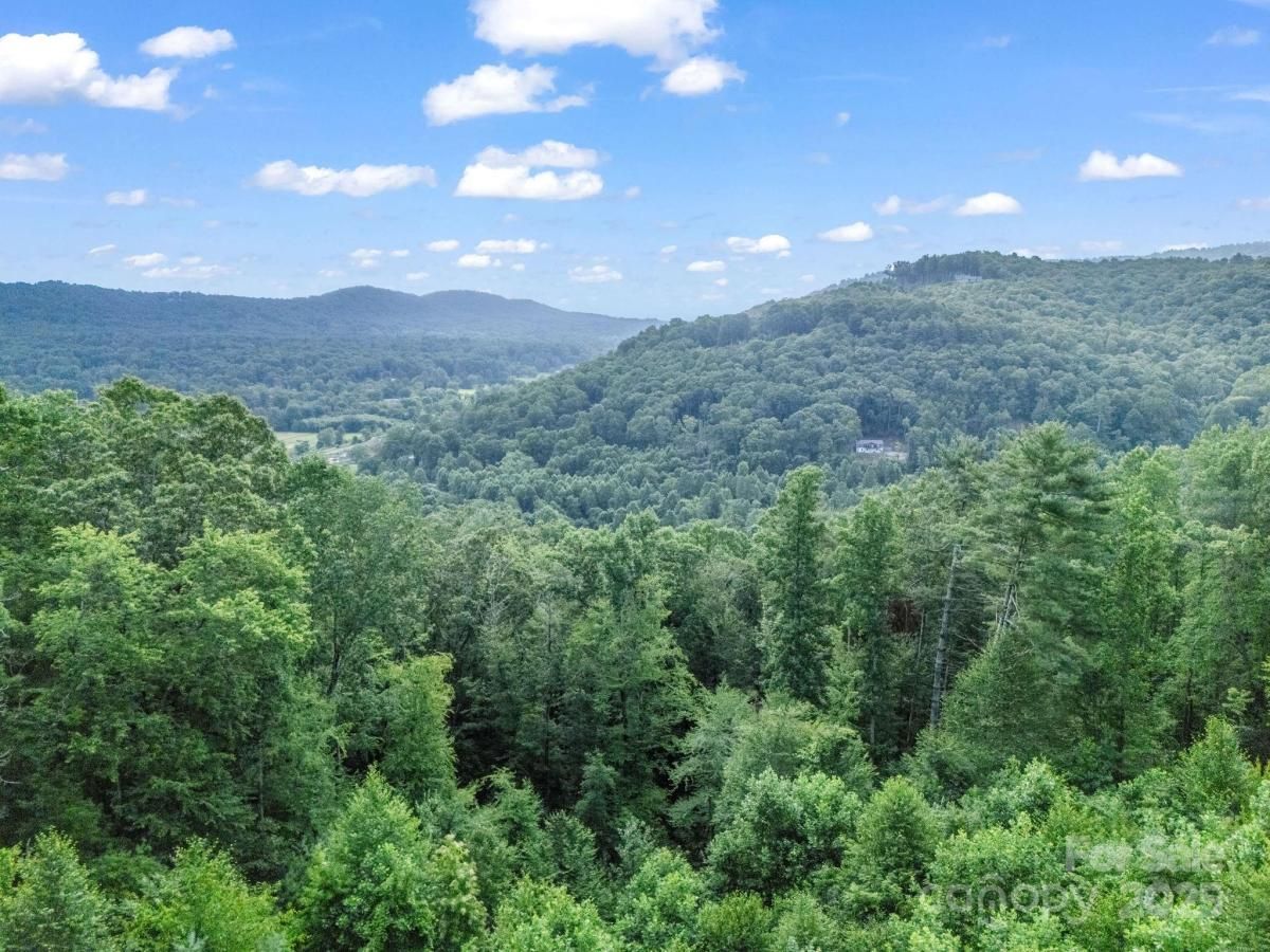 MLS #CAR4281797 image #0