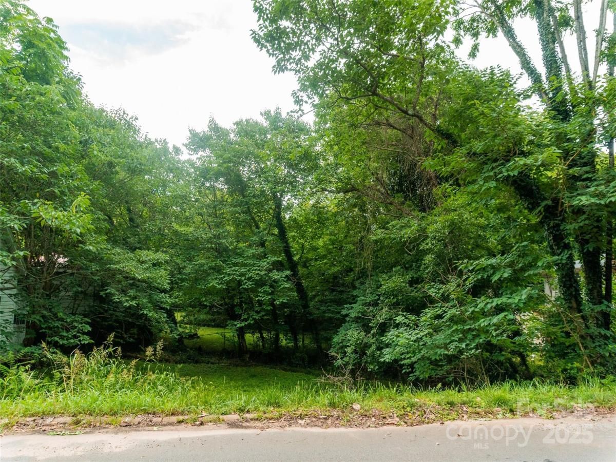 MLS #CAR4282038 image #0