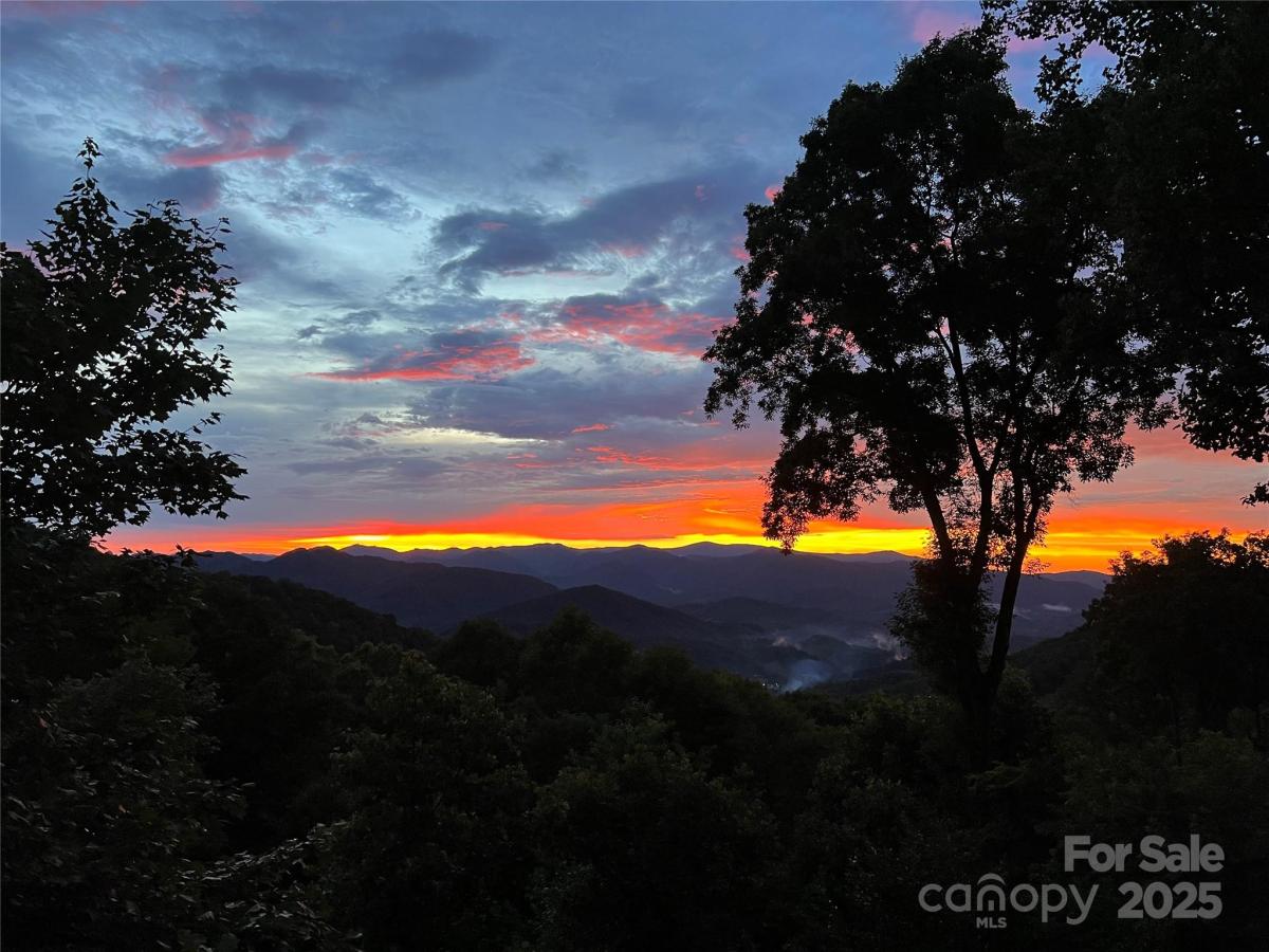 MLS #CAR4282611 image #0