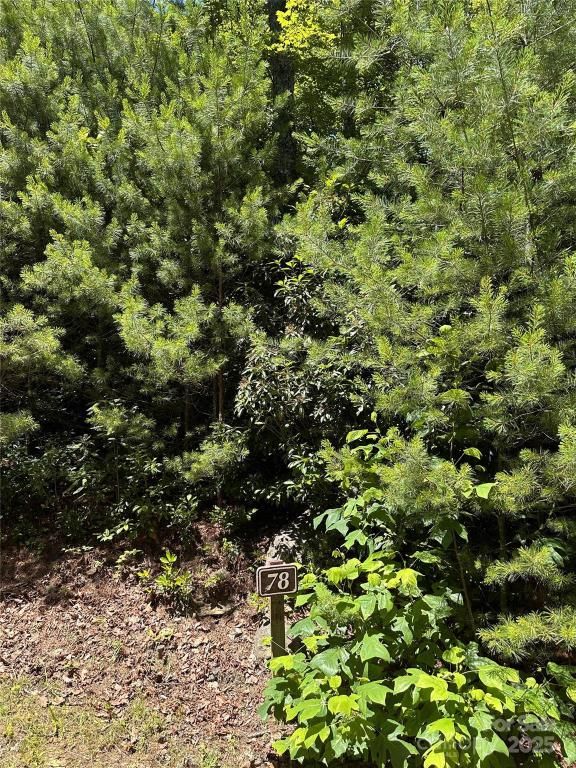 MLS #CAR4283004 image #0