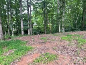 MLS #CAR4283228 image #0