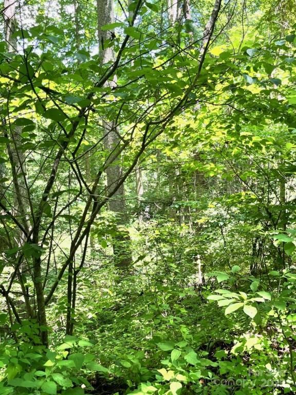 MLS #CAR4283445 image #0