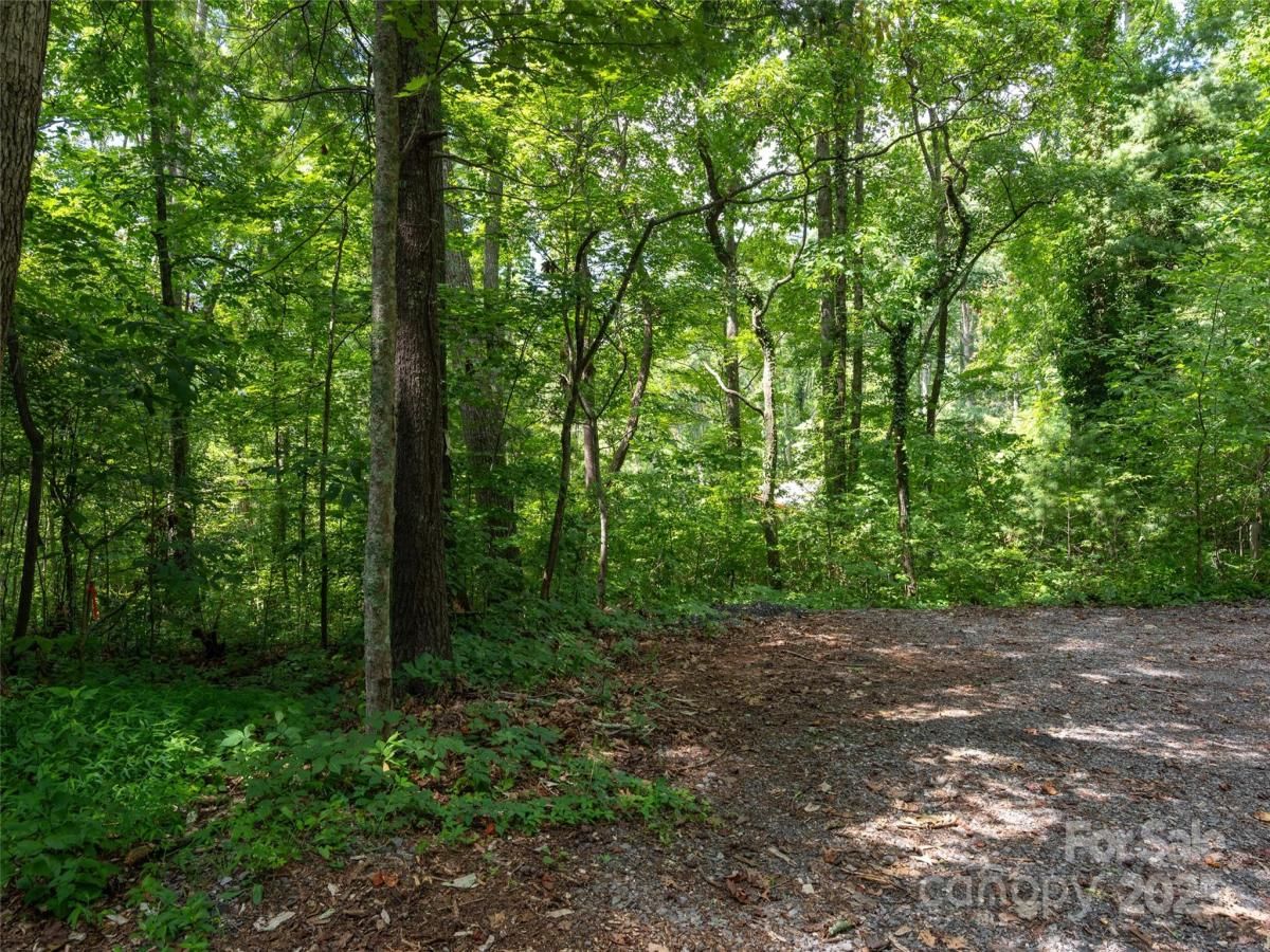 MLS #CAR4285786 image #0