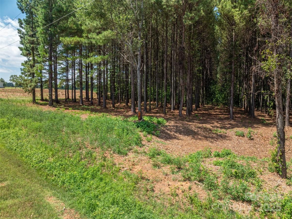 MLS #CAR4286741 image #0