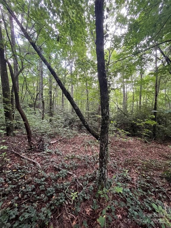 MLS #CAR4286965 image #0