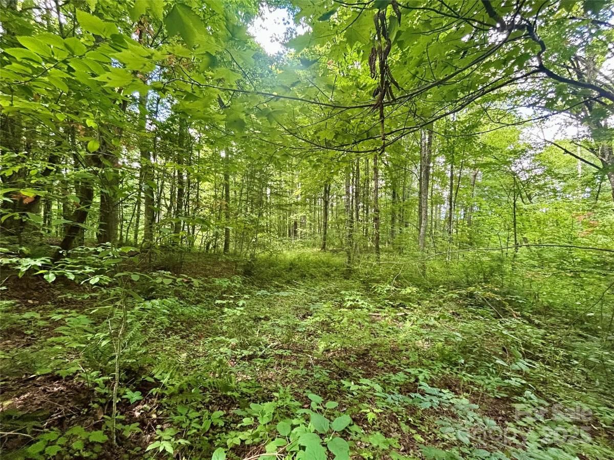 MLS #CAR4287094 image #0