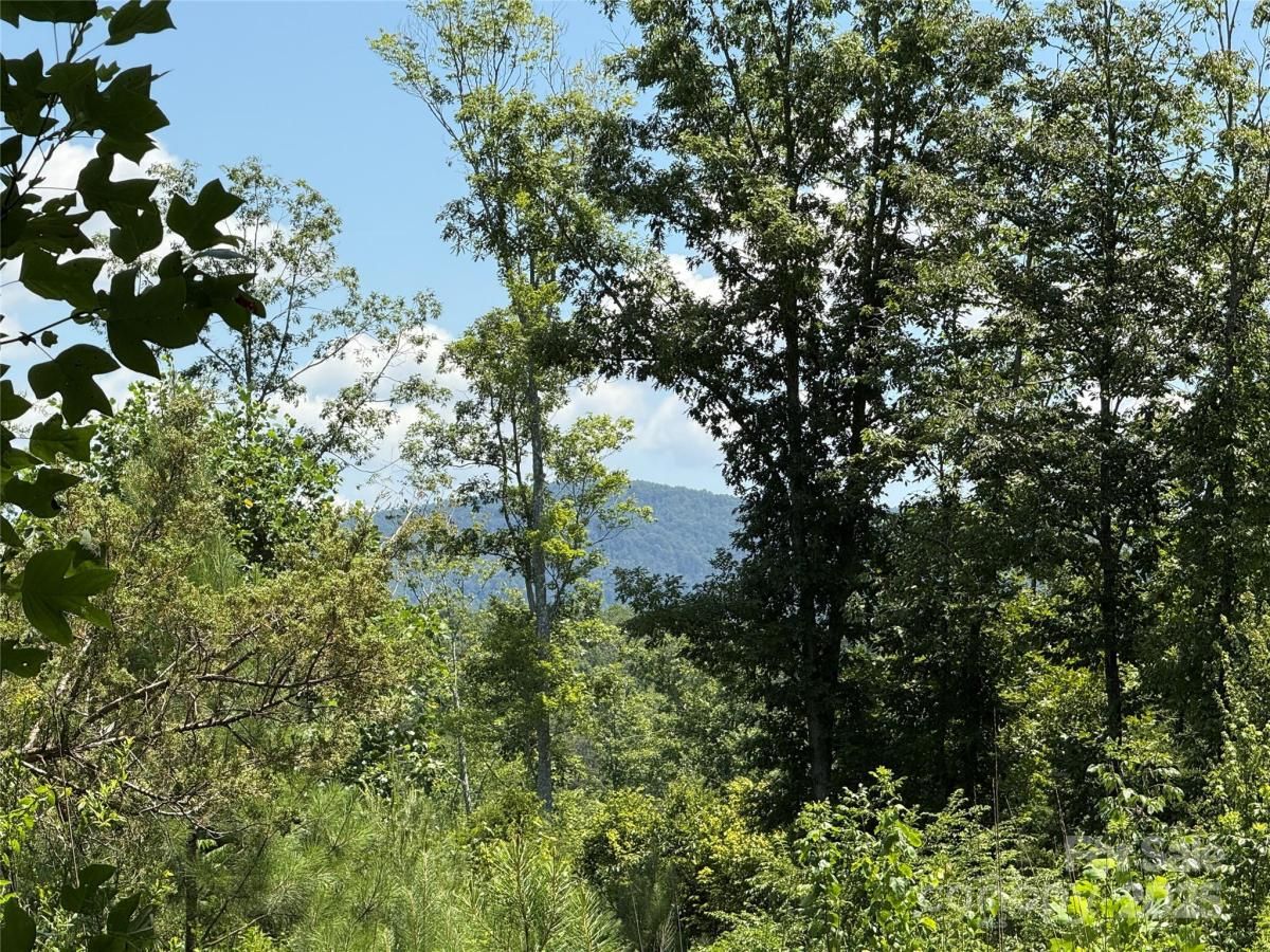 MLS #CAR4287406 image #0