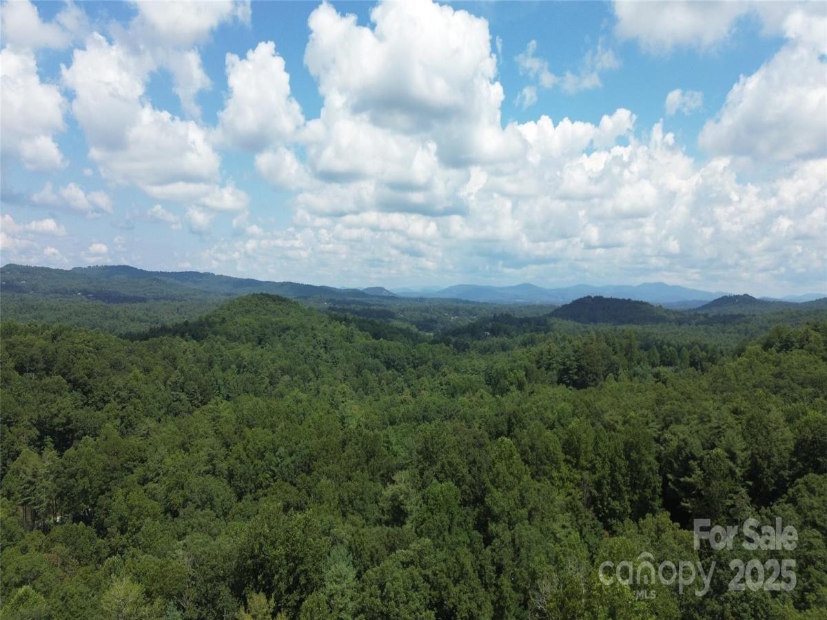 MLS #CAR4287934 image #0