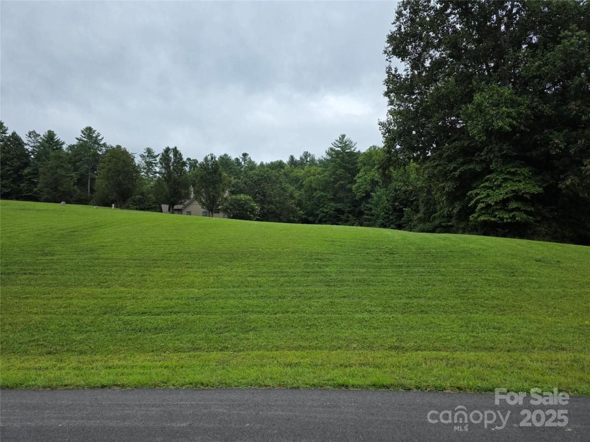 MLS #CAR4288349 image #0