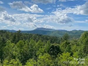 MLS #CAR4288464 image #0