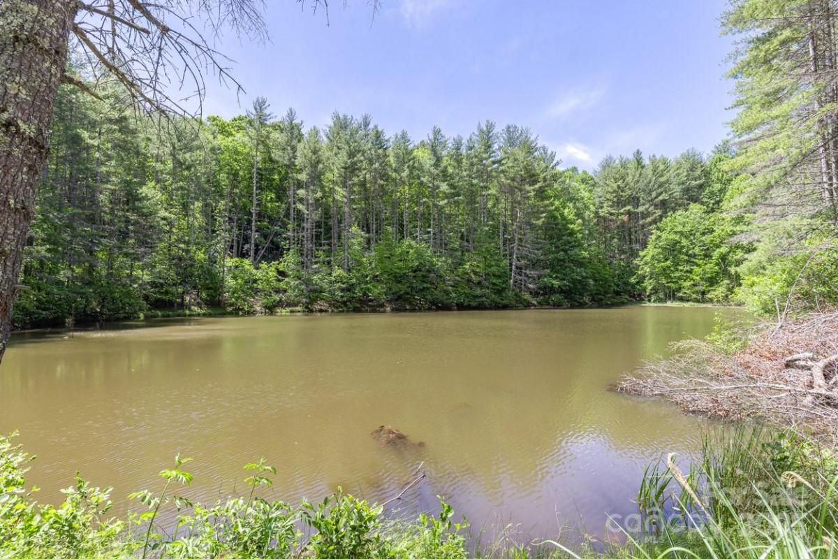 MLS #CAR4288794 image #0