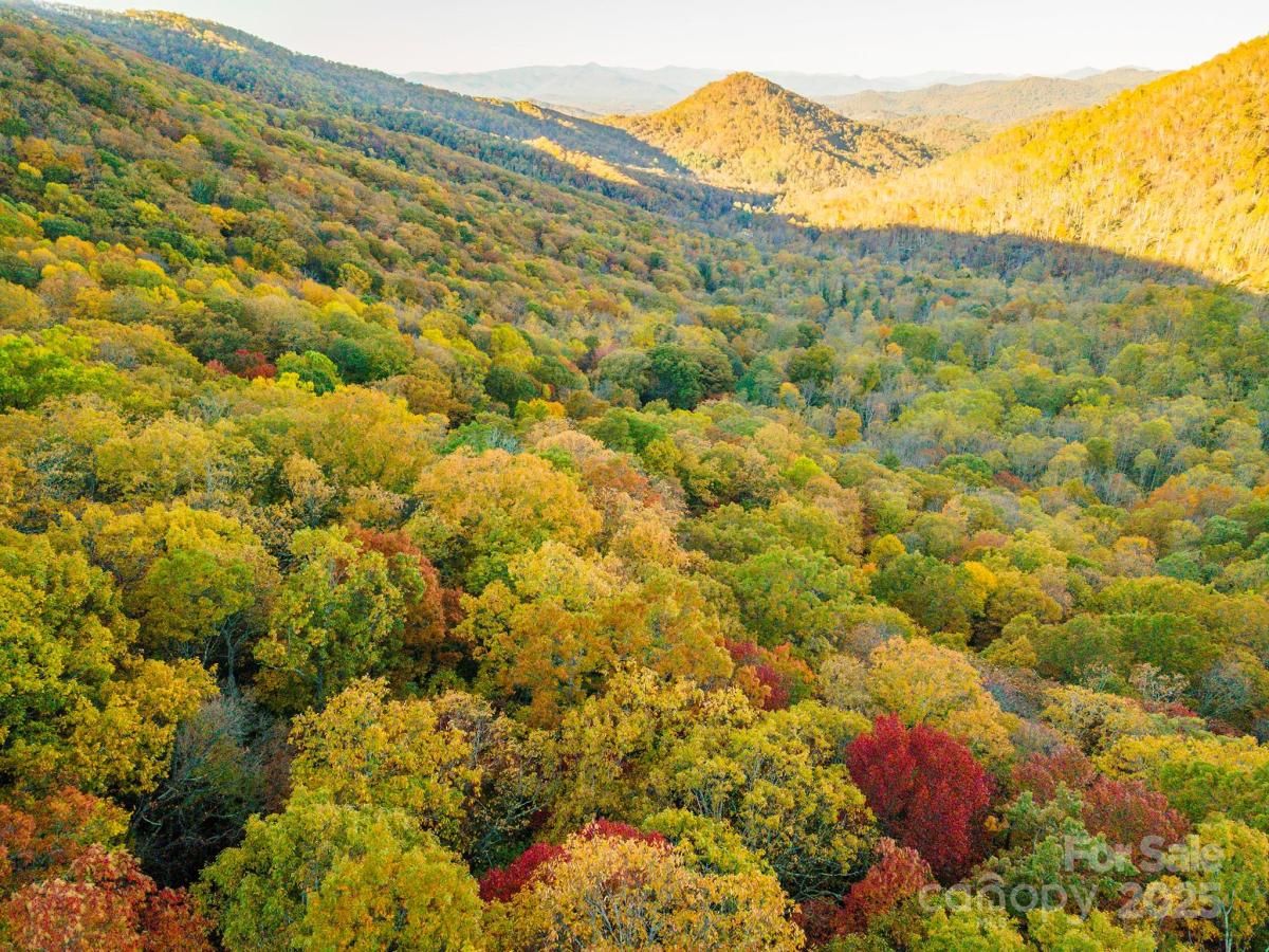 MLS #CAR4289482 image #0