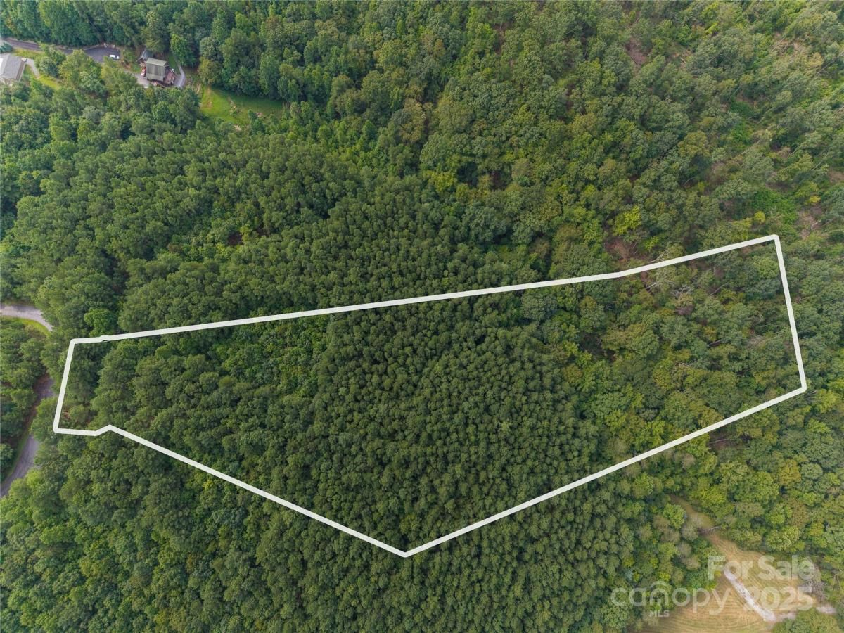 MLS #CAR4290293 image #0