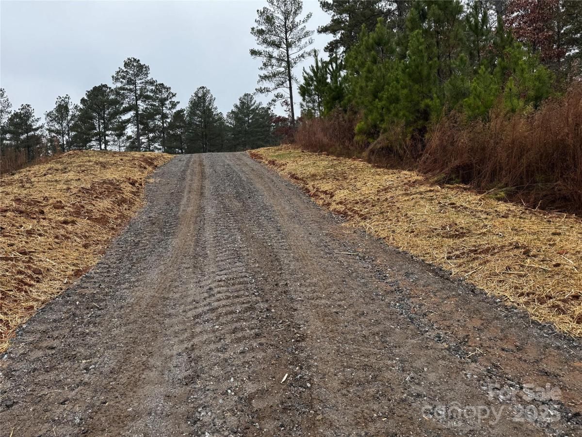 MLS #CAR4290889 image #0