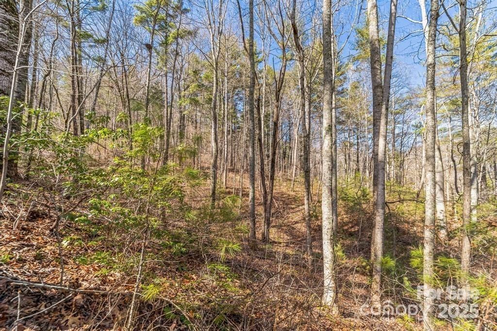 MLS #CAR4290918 image #0