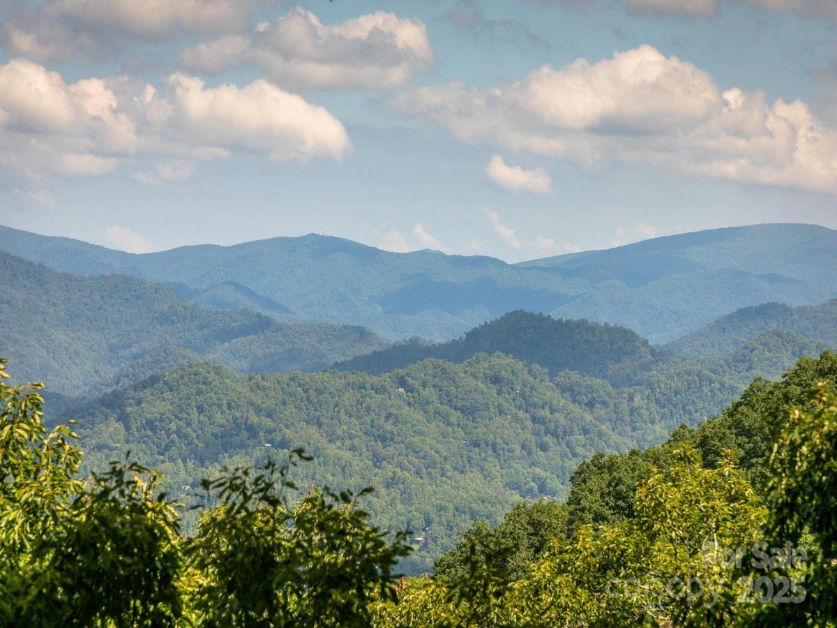 MLS #CAR4291229 image #0