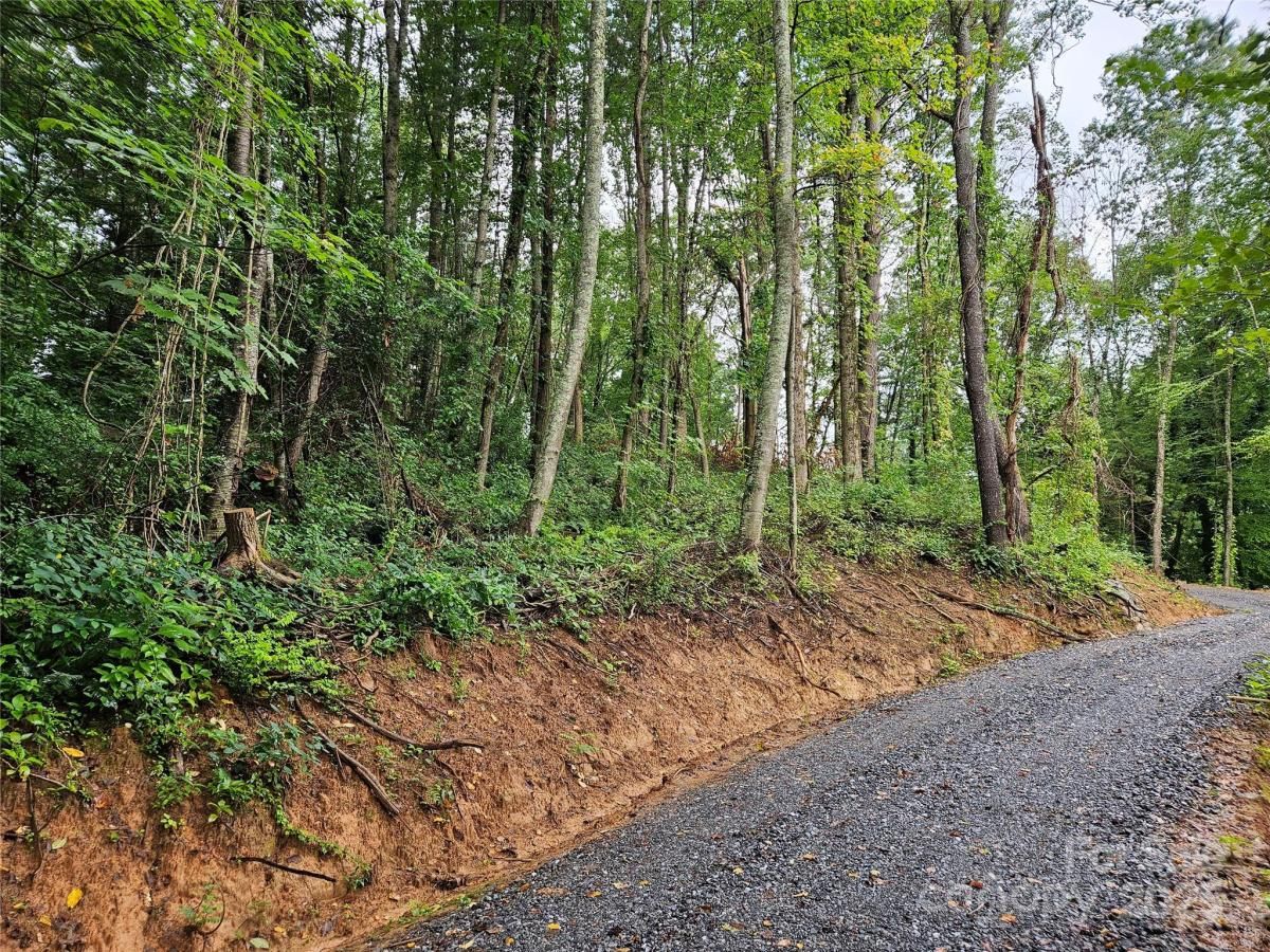 MLS #CAR4291299 image #0