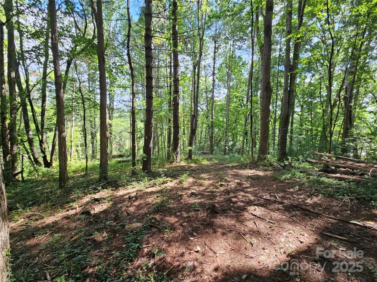 MLS #CAR4291311 image #0