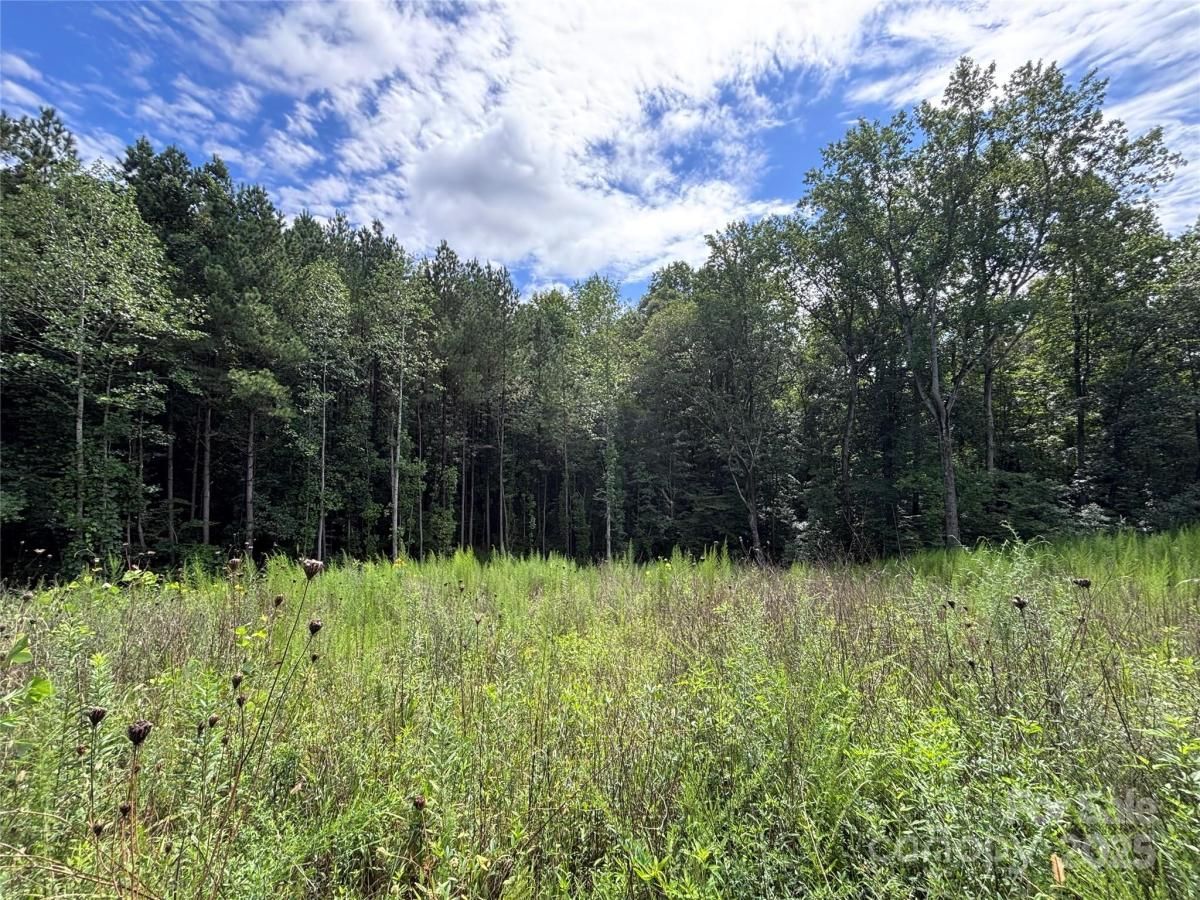 MLS #CAR4291853 image #0